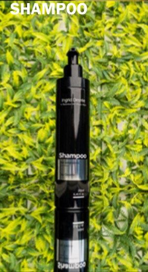 Shampoo da linha Ingrid Desirée